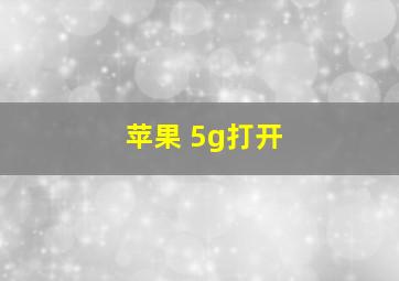 苹果 5g打开